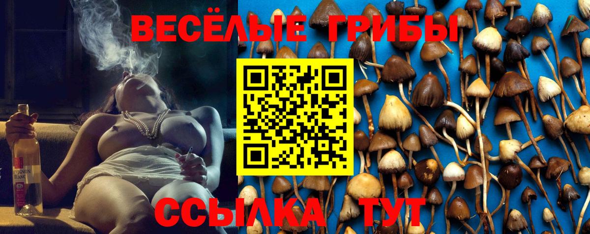 Меф МЯУ МЯУ кристаллы  Канабис  КОКАИН  Экстази  Вход с VPN  Шахты  ГАШИШ 
